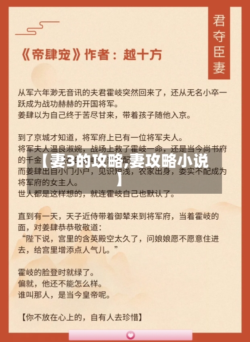 【妻3的攻略,妻攻略小说】