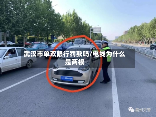武汉市单双限行罚款吗/电线为什么是两根-第2张图片