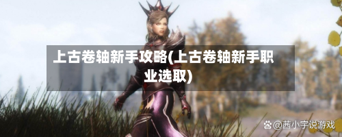 上古卷轴新手攻略(上古卷轴新手职业选取)-第2张图片