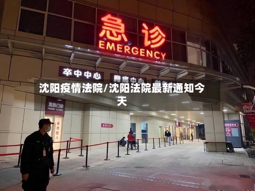 沈阳疫情法院/沈阳法院最新通知今天