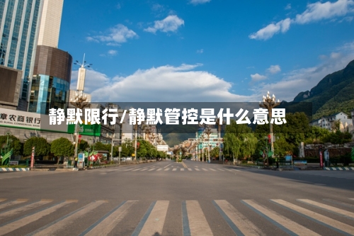 静默限行/静默管控是什么意思-第2张图片