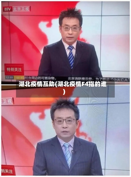 湖北疫情互助(湖北疫情F4指的谁)