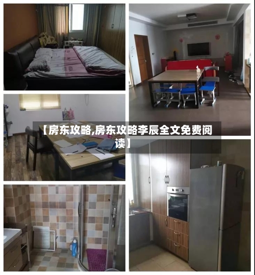 【房东攻略,房东攻略李辰全文免费阅读】
