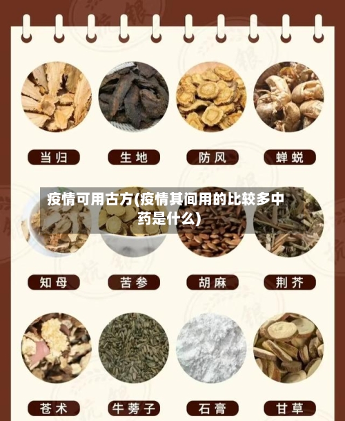 疫情可用古方(疫情其间用的比较多中药是什么)