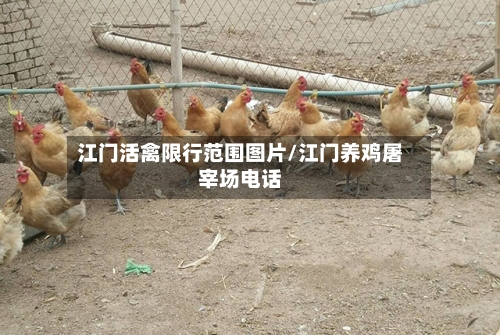 江门活禽限行范围图片/江门养鸡屠宰场电话