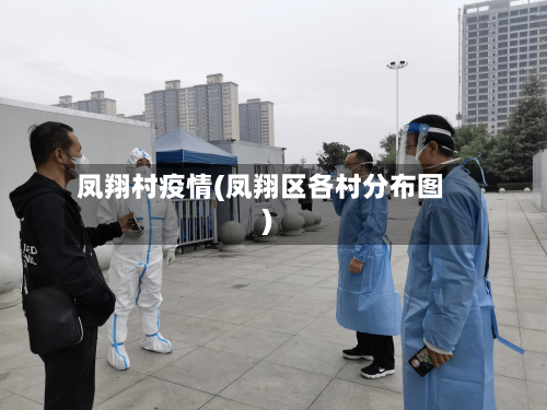 凤翔村疫情(凤翔区各村分布图)-第3张图片