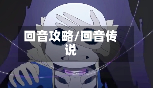 回音攻略/回音传说