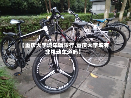 【重庆大学城车辆限行,重庆大学城有非机动车道吗】-第3张图片