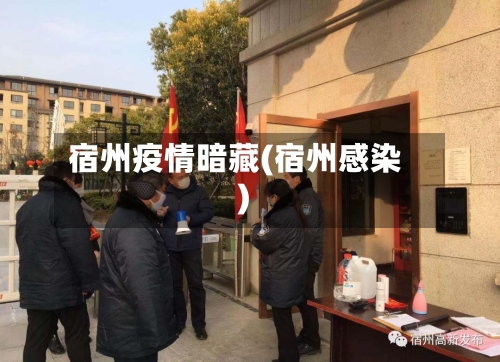 宿州疫情暗藏(宿州感染)-第2张图片