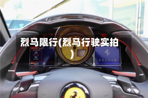 烈马限行(烈马行驶实拍)-第2张图片