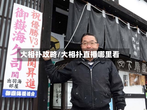 大相扑攻略/大相扑直播哪里看