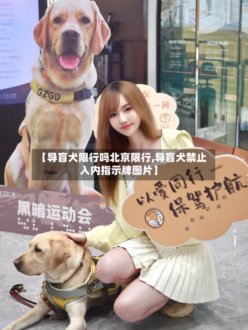 【导盲犬限行吗北京限行,导盲犬禁止入内指示牌图片】