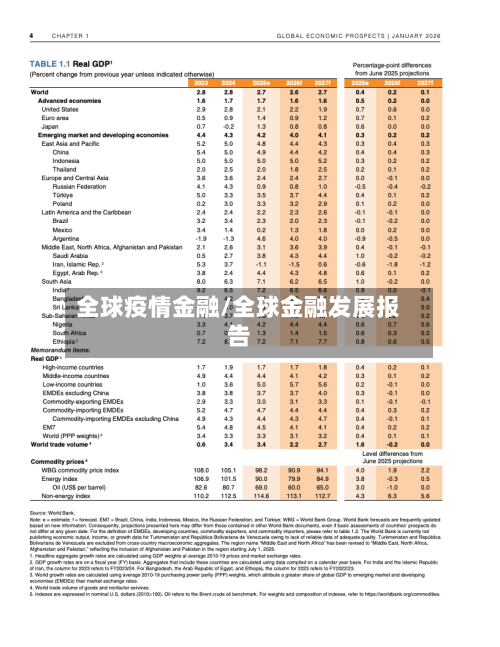 全球疫情金融/全球金融发展报告-第2张图片
