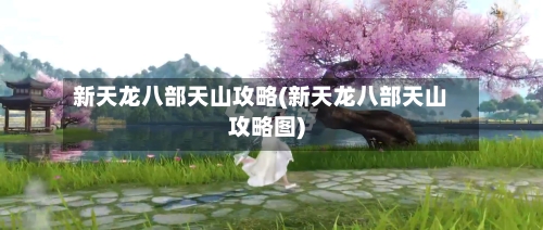 新天龙八部天山攻略(新天龙八部天山攻略图)
