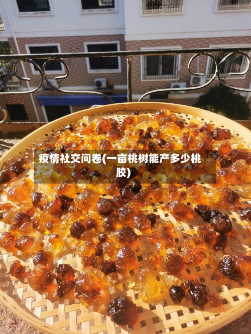 疫情社交问卷(一亩桃树能产多少桃胶)