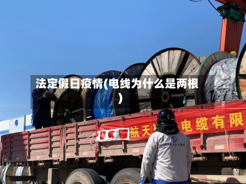 法定假日疫情(电线为什么是两根)-第3张图片