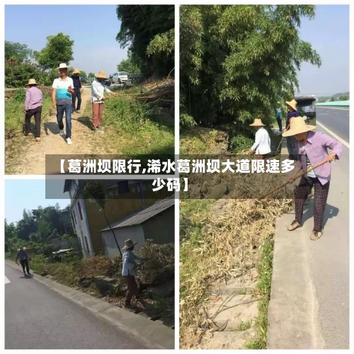 【葛洲坝限行,浠水葛洲坝大道限速多少码】