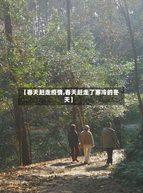 【春天赶走疫情,春天赶走了寒冷的冬天】-第2张图片