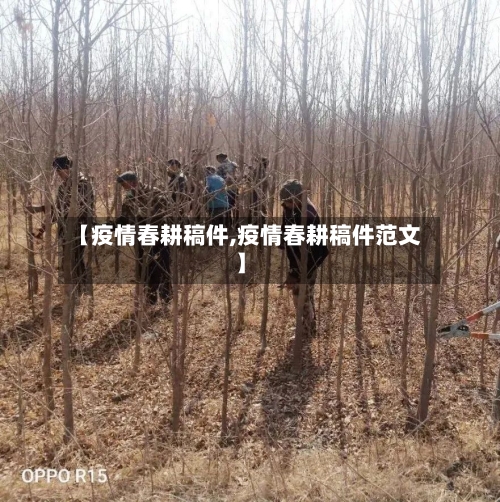 【疫情春耕稿件,疫情春耕稿件范文】-第2张图片