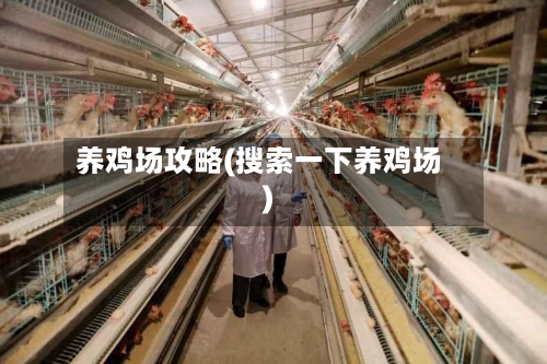 养鸡场攻略(搜索一下养鸡场)