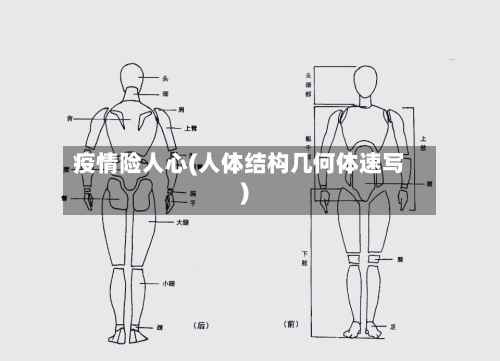 疫情险人心(人体结构几何体速写)
