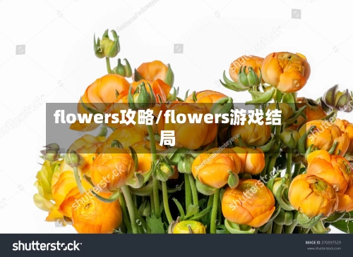 flowers攻略/flowers游戏结局-第2张图片