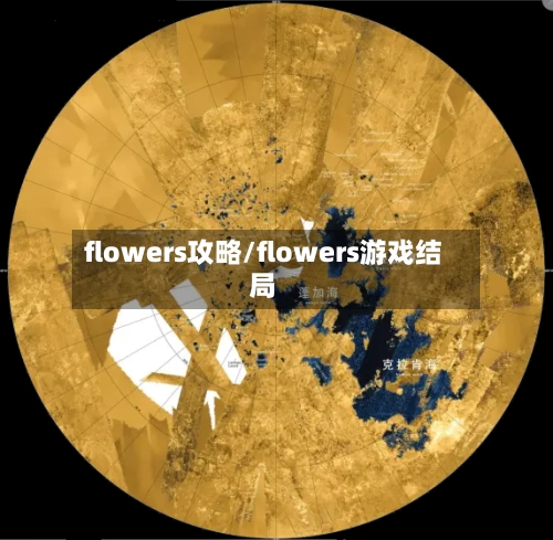 flowers攻略/flowers游戏结局-第3张图片