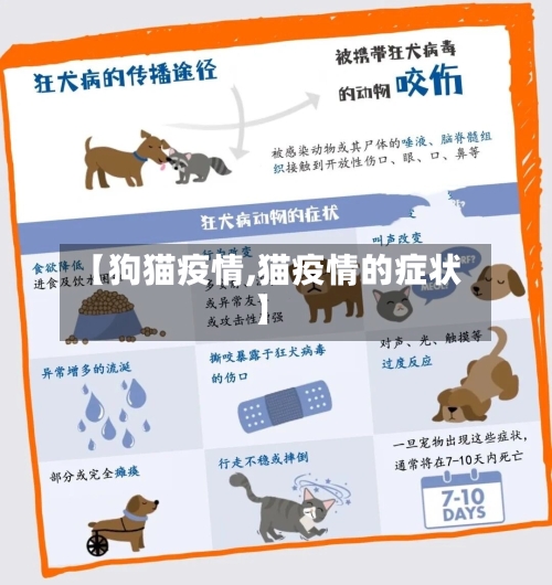 【狗猫疫情,猫疫情的症状】