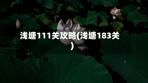 浅塘111关攻略(浅塘183关)
