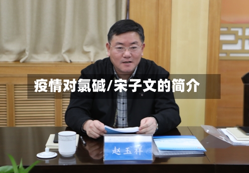 疫情对氯碱/宋子文的简介-第2张图片