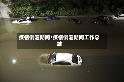 疫情倒灌期间/疫情倒灌期间工作总结