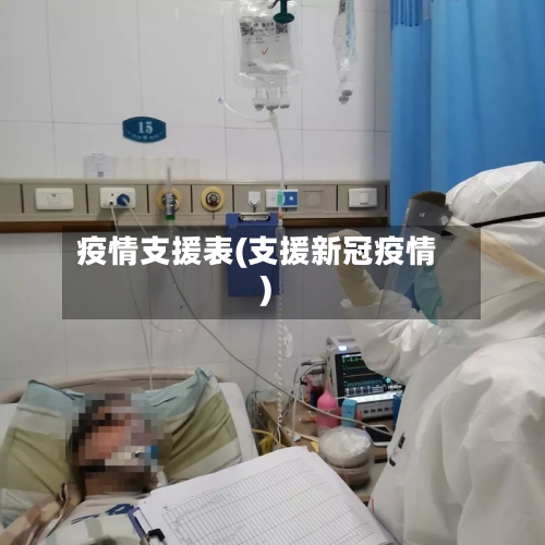 疫情支援表(支援新冠疫情)-第3张图片