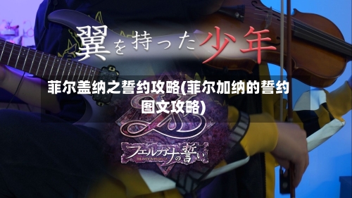 菲尔盖纳之誓约攻略(菲尔加纳的誓约图文攻略)