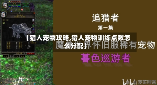 【猎人宠物攻略,猎人宠物训练点数怎么分配】-第2张图片