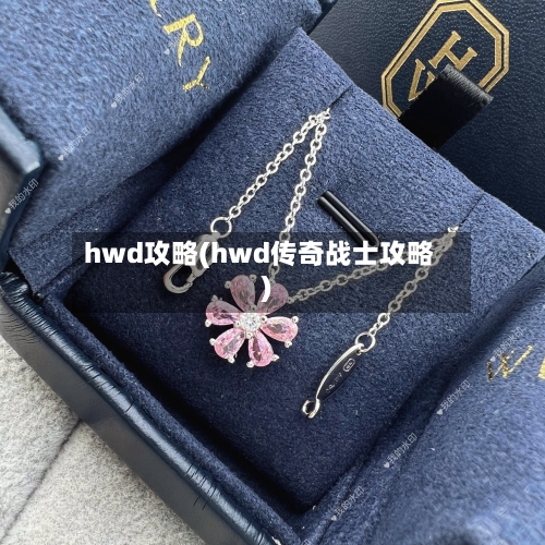 hwd攻略(hwd传奇战士攻略)-第2张图片