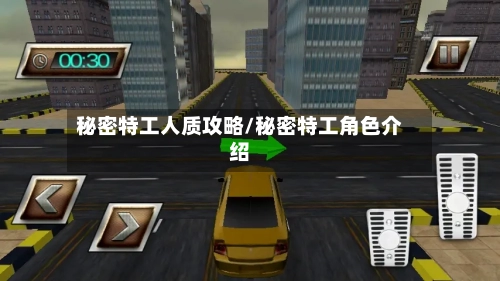 秘密特工人质攻略/秘密特工角色介绍