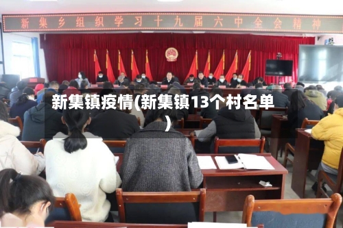 新集镇疫情(新集镇13个村名单)