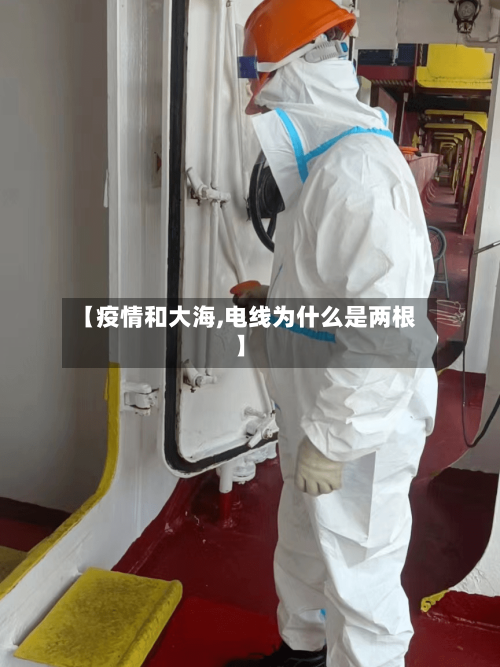 【疫情和大海,电线为什么是两根】-第3张图片