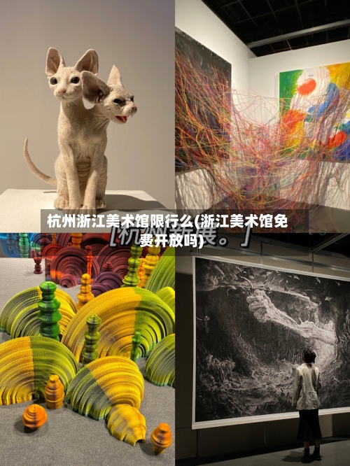 杭州浙江美术馆限行么(浙江美术馆免费开放吗)