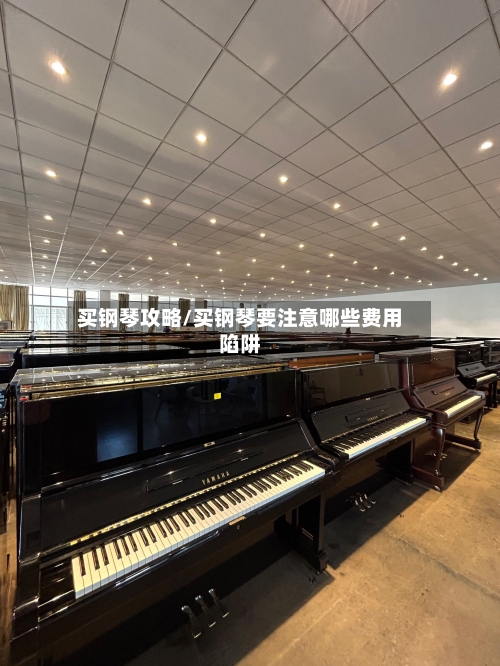 买钢琴攻略/买钢琴要注意哪些费用陷阱