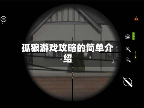 孤狼游戏攻略的简单介绍-第2张图片