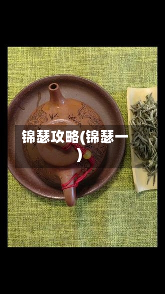 锦瑟攻略(锦瑟一)