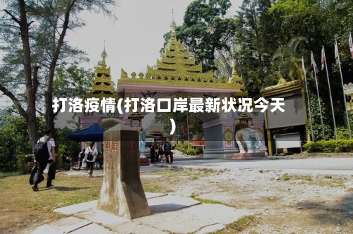 打洛疫情(打洛口岸最新状况今天)-第2张图片