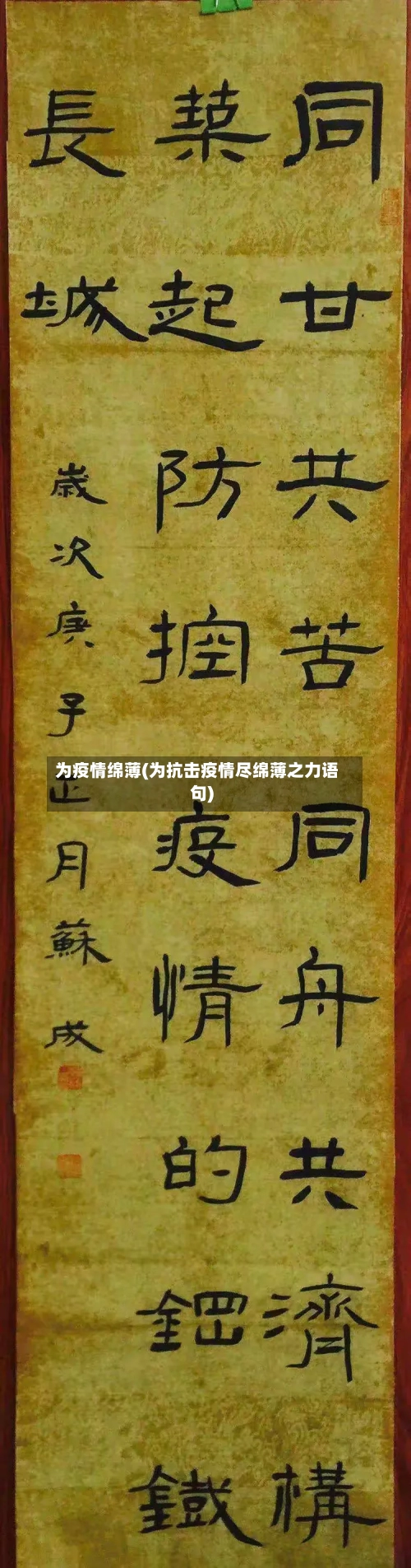 为疫情绵薄(为抗击疫情尽绵薄之力语句)