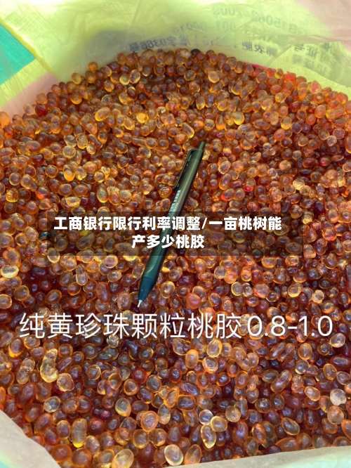 工商银行限行利率调整/一亩桃树能产多少桃胶-第2张图片