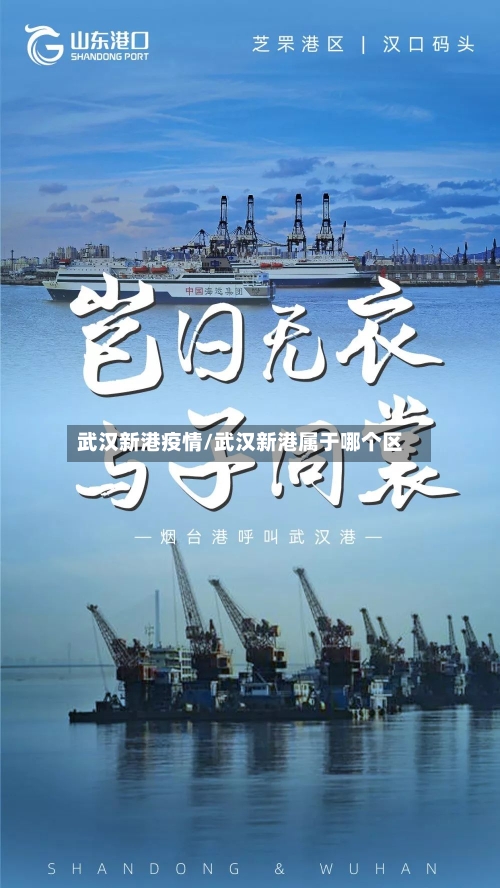 武汉新港疫情/武汉新港属于哪个区