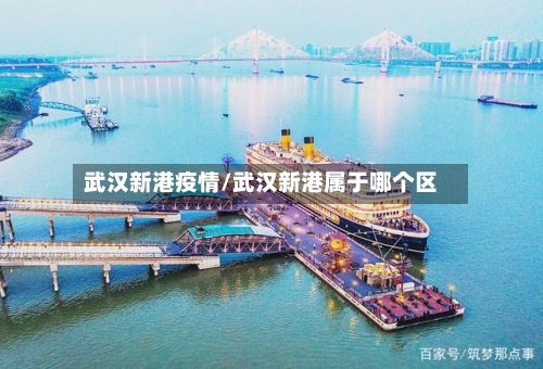 武汉新港疫情/武汉新港属于哪个区-第3张图片