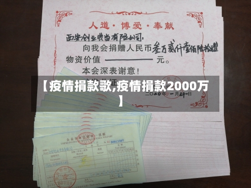 【疫情捐款歌,疫情捐款2000万】-第2张图片