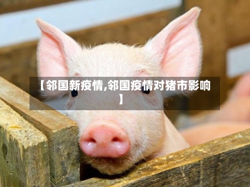 【邻国新疫情,邻国疫情对猪市影响】-第2张图片