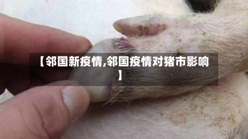【邻国新疫情,邻国疫情对猪市影响】